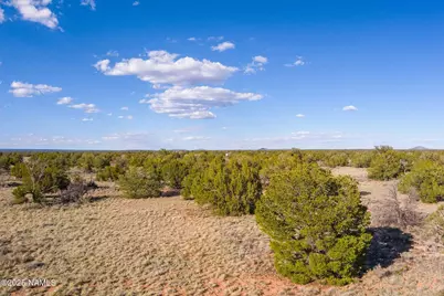 243 S Ann Circle, Williams, AZ 86046 - Photo 9