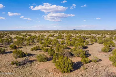 243 S Ann Circle, Williams, AZ 86046 - Photo 11