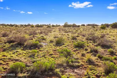 591 S Palmetto Road, Williams, AZ 86046 - Photo 1