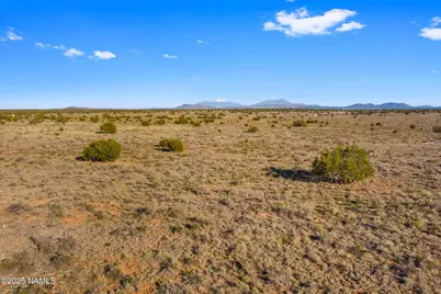 591 S Palmetto Road, Williams, AZ 86046 - Photo 5