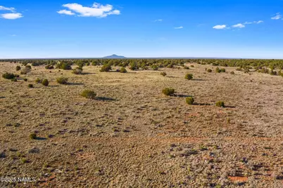 591 S Palmetto Road, Williams, AZ 86046 - Photo 13