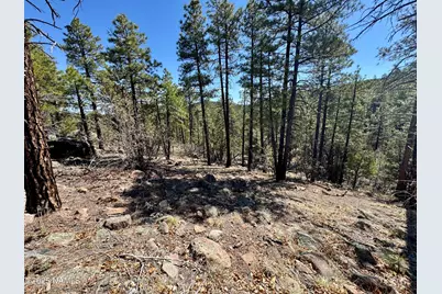1201 Redwall Way, Williams, AZ 86046 - Photo 3