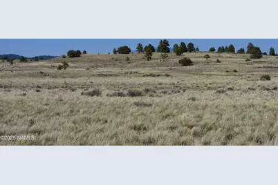 Lot 1 E Tanner Ranch Road, Parks, AZ 86018 - Photo 3