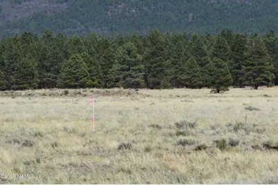 Lot 2 E Tanner Ranch Road, Parks, AZ 86018 - Photo 11