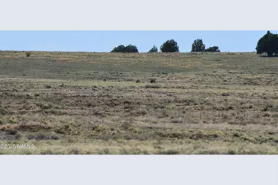 Lot 2 E Tanner Ranch Road, Parks, AZ 86018 - Photo 25