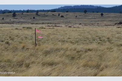 Lot 2 E Tanner Ranch Road, Parks, AZ 86018 - Photo 7