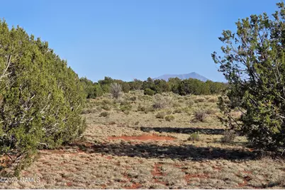 9087 Hawkeye Circle, Williams, AZ 86046 - Photo 11