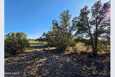 9087 Hawkeye Circle, Williams, AZ 86046 - Photo 35