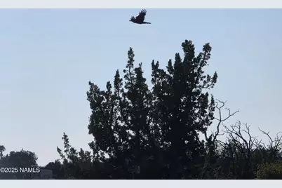 9087 Hawkeye Circle, Williams, AZ 86046 - Photo 5