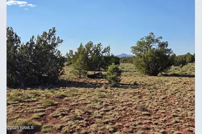 9087 Hawkeye Circle, Williams, AZ 86046 - Photo 7