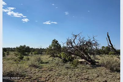 9087 Hawkeye Circle, Williams, AZ 86046 - Photo 25