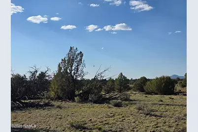 9087 Hawkeye Circle, Williams, AZ 86046 - Photo 3