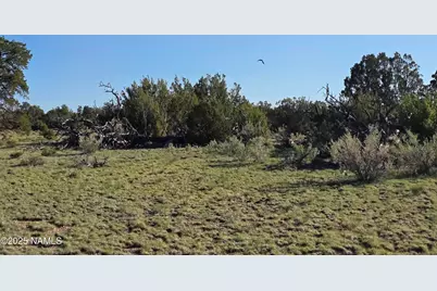 9087 Hawkeye Circle, Williams, AZ 86046 - Photo 17