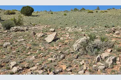 8175 Sharp Knife Road, Williams, AZ 86046 - Photo 9