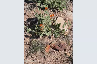 8175 Sharp Knife Road, Williams, AZ 86046 - Photo 5