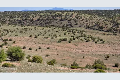8175 Sharp Knife Road, Williams, AZ 86046 - Photo 13