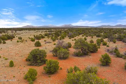 8449 E Water Tank Circle #C, Williams, AZ 86046 - Photo 17