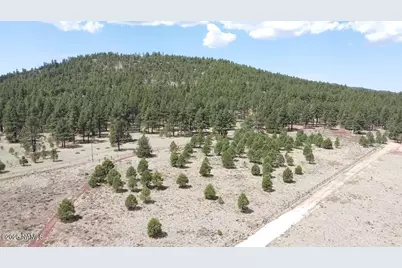 957 S Appaloosa Trail, Williams, AZ 86046 - Photo 13