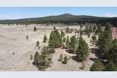957 S Appaloosa Trail, Williams, AZ 86046 - Photo 5