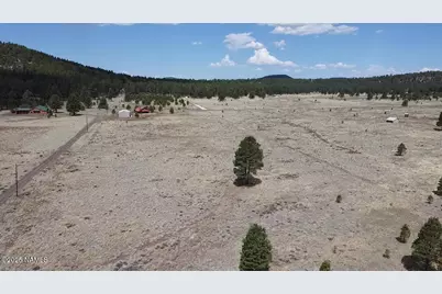 957 S Appaloosa Trail, Williams, AZ 86046 - Photo 3