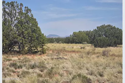 3435 E Valencia Road, Williams, AZ 86046 - Photo 5