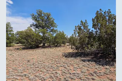 913 S Kaibab Road, Williams, AZ 86046 - Photo 7