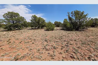 913 S Kaibab Road, Williams, AZ 86046 - Photo 15