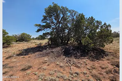 913 S Kaibab Road, Williams, AZ 86046 - Photo 21