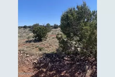 3864 Mohave Trail, Williams, AZ 86046 - Photo 5