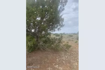 3864 Mohave Trail, Williams, AZ 86046 - Photo 19