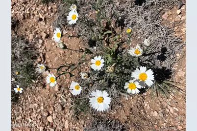 8834 Northstar Road, Williams, AZ 86046 - Photo 33