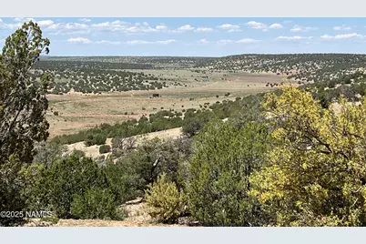 8834 Northstar Road, Williams, AZ 86046 - Photo 7