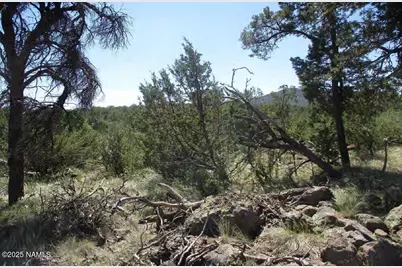0 Espee Road, Williams, AZ 86046 - Photo 13