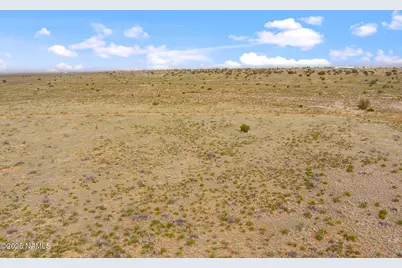 728 E Pine Road, Williams, AZ 86046 - Photo 5