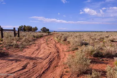 2877 Paradise Drive, Williams, AZ 86046 - Photo 17