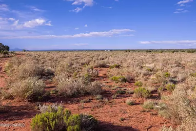 2877 Paradise Drive, Williams, AZ 86046 - Photo 15