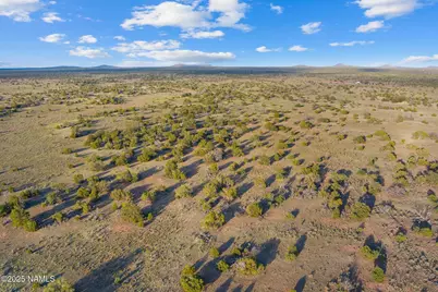4436 Indian Meadows Road, Williams, AZ 86046 - Photo 13