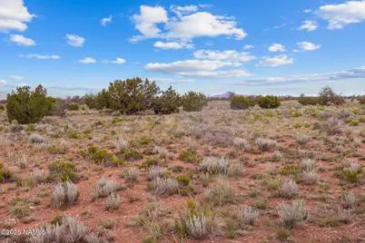 4532 Indian Meadows Road, Williams, AZ 86046 - Photo 23