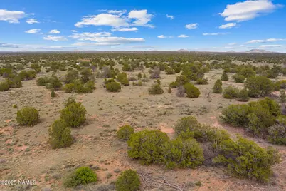 50178020F Wyandotte Road, Williams, AZ 86046 - Photo 3