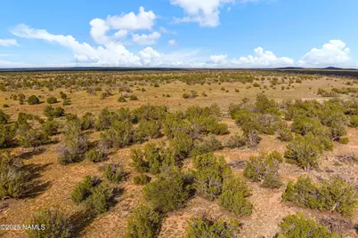 3697 E South Rim Ranch Road #A, Williams, AZ 86046 - Photo 13