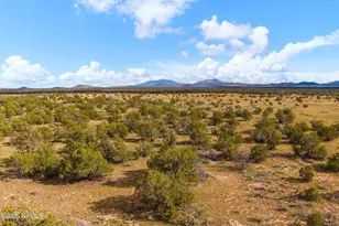 3697 E S Rim Ranch Rd, Williams, AZ 86046 - Photo 1