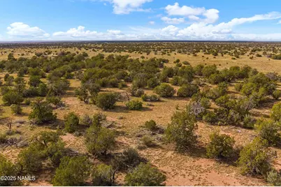 3697 E South Rim Ranch Road #C, Williams, AZ 86046 - Photo 17