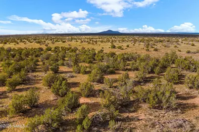 3697 E South Rim Ranch Road #C, Williams, AZ 86046 - Photo 47
