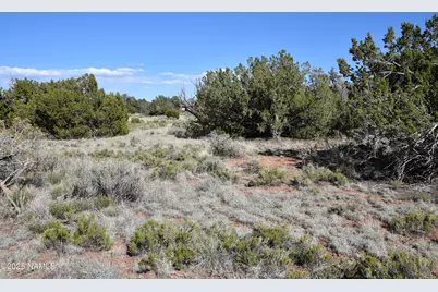 883 S Kenwood Street, Williams, AZ 86046 - Photo 3