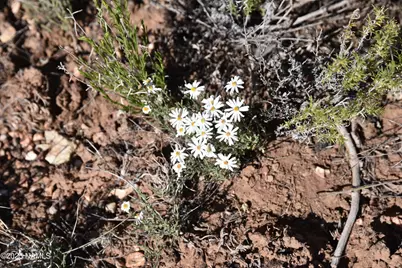 883 S Kenwood Street, Williams, AZ 86046 - Photo 9