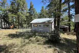 135 Spruce Dr, Mormon Lake, AZ 86038 - Photo 39