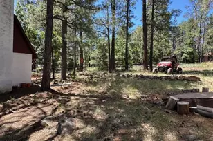 135 Spruce Dr, Mormon Lake, AZ 86038 - Photo 35