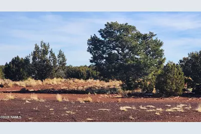 4378 Lasso Loop, Williams, AZ 86046 - Photo 13