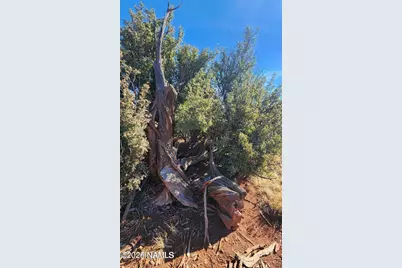 4378 Lasso Loop, Williams, AZ 86046 - Photo 11