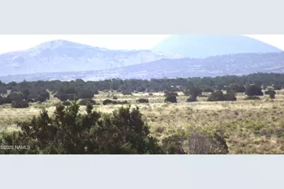 3725 S Carmen Road, Williams, AZ 86046 - Photo 3